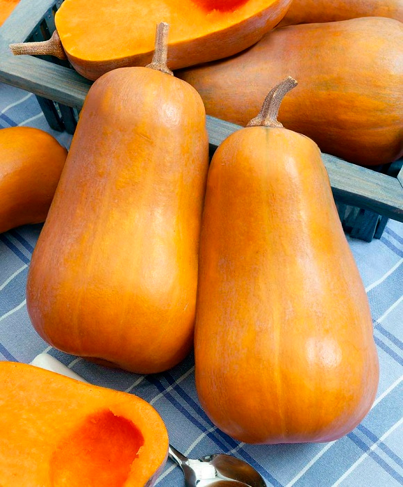 ����  ������ ���� ������ ����� ��������, 6 ��., ������ �� 89 ���