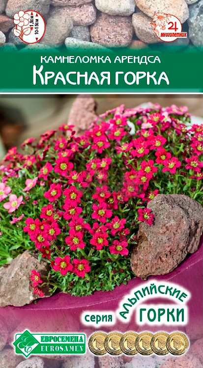 ����  ������ ���������� ���������� ������� ������� �����, 10 ����� ���������� �����, ������ �� 78 ���