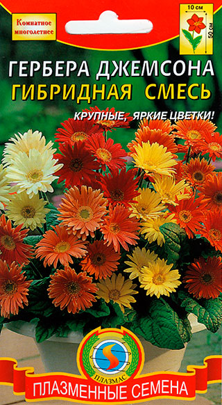 ����  ������ ������� ������� ��������, ����� ���������, 10 ��., ������ �� 75 ���