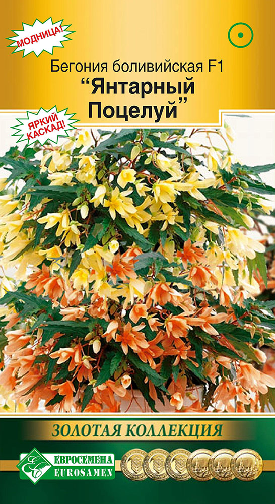 ����  ������ ���������� ������� ����������� �������� ������� F1, 5 ����� ������� ���������, ������ �� 195 ���