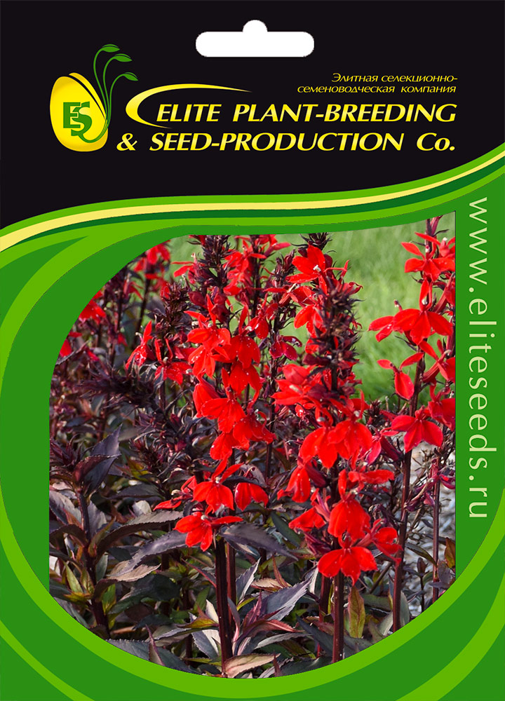    Elite Seeds    F1  , 50 .      -     , -, 