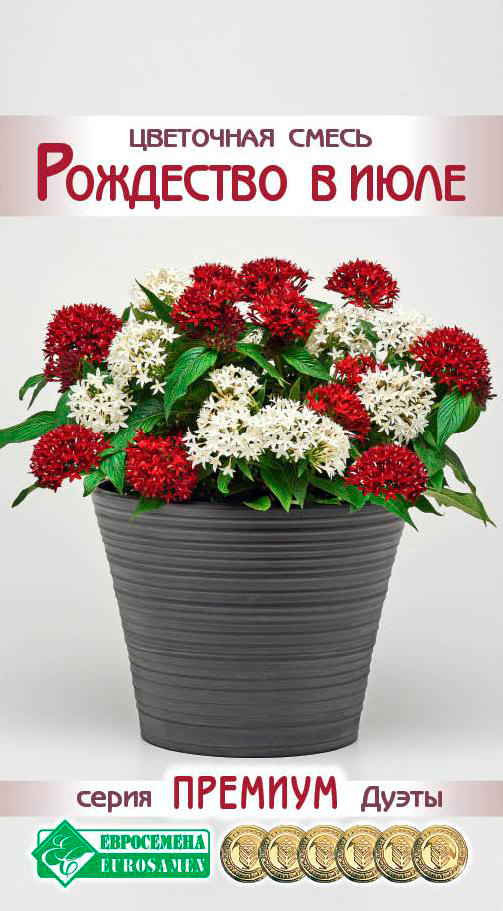 ����  ������ ���������� ��������� ����� ��������� � ����, 4 ����� ������� �����, ������ �� 145 ���