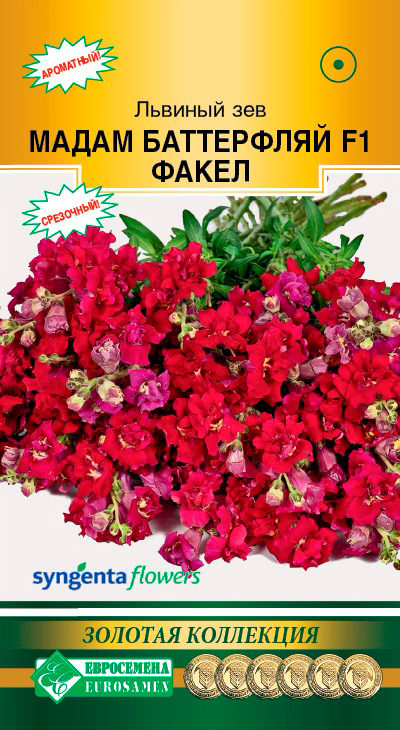 ����  ������ ���������� ������� ��� ����� ���������� ����� F1, 10 ��. ������� ���������, ������ �� 95 ���