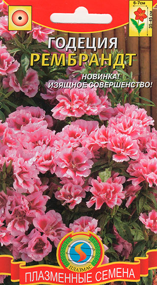 ����  ������ ������� ������� ��������, 0,05 �, ������ �� 35 ���