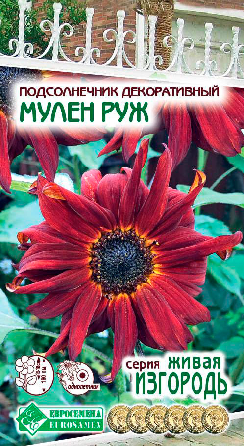 ����  ������ ���������� ������������ ������������ ����� ���, 1 � ����� ��������, ������ �� 59 ���