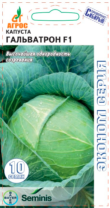 ����  ������ ����� ������� ������������ ���������� F1, 10 ��. Seminis, ������ �� 65 ���