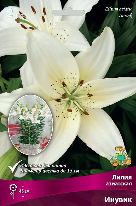 ����  ���������� �������� ����� ��������� ����� ��������� ��������� ������, 2 ��., ������ �� 360 ���