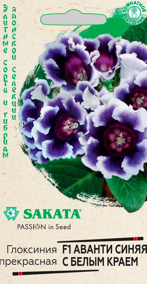           F1, 4 . Sakata    -     , -, 