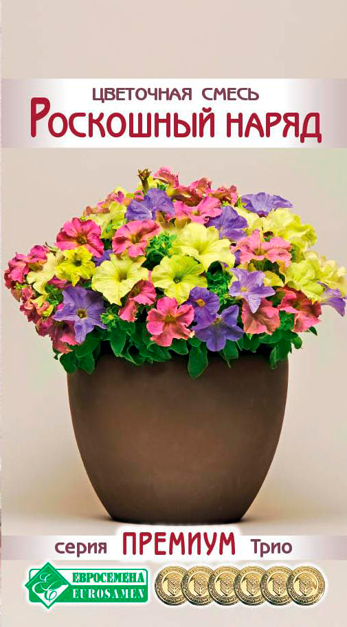 ����  ������ ���������� ��������� ����� ��������� �����, 6 ����� ������� ����, ������ �� 145 ���