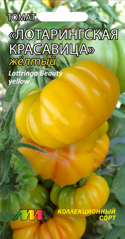 ����  ������ ������ ������ ����������� ����� ������������ ��������� ������ (Lottringa Beauty Yelloy), 5 ��. ������������� ����, ������ �� 125 ���