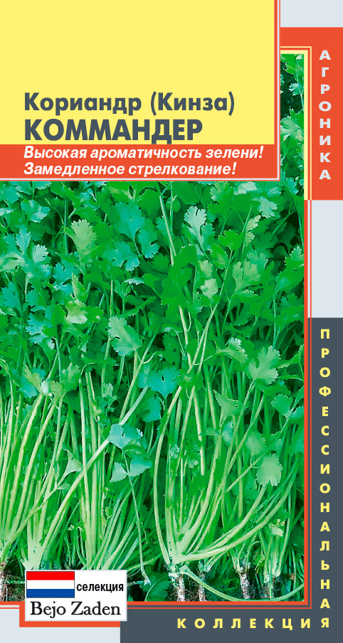 ����  ������ ������� �������� (�����) ���������, 1 � Bejo Zaden ���������������� ���������, ������ �� 35 ���