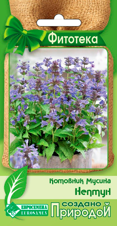 ����  ������ ���������� �������� ������ ������, 0,1 � ��������, ������ �� 45 ���