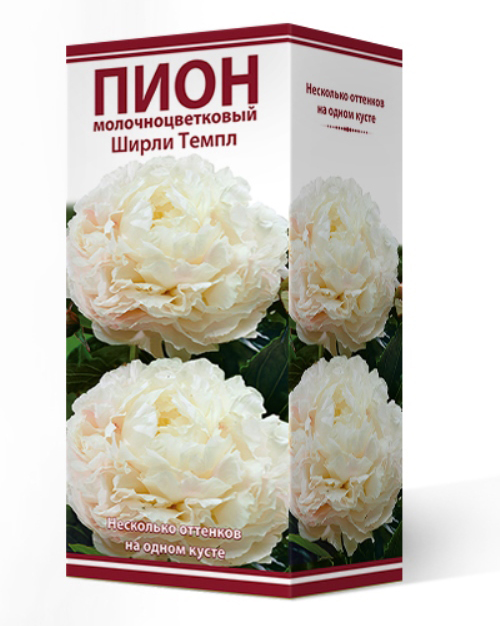 ����  ���������� �������� ����� ��������� ���� ���������������� ����� �����, 1 ��., ������ �� 775 ���