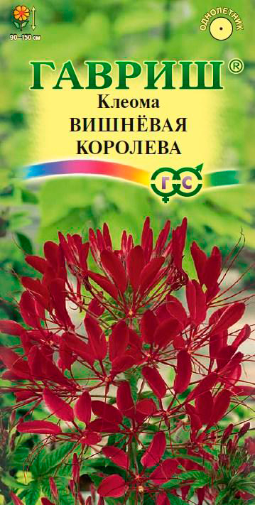 ����  ������ ������ ������ �������� ��������, 0,3 �, ������ �� 35 ���