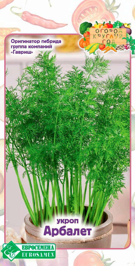 ����  ������ ���������� ����� �������, 1 � ������ ������� ���, ������ �� 48 ���