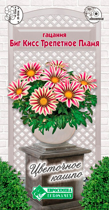 ����  ������ ���������� ������� ����������� ��� ���� ��������� �����, 3 ��. ��������� �����, ������ �� 113 ���