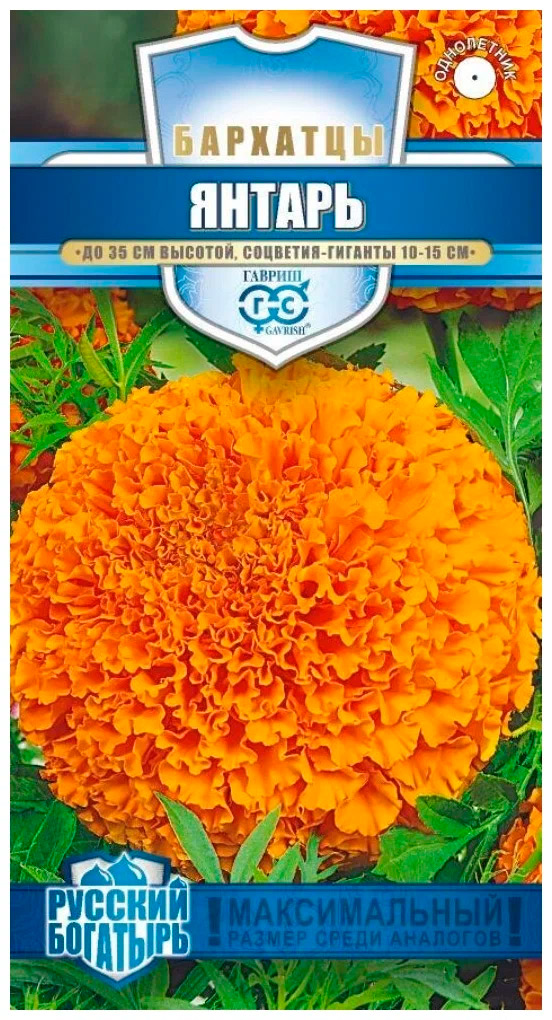 ����  ������ ������ �������� ������, 0,1 � ������� ��������, ������ �� 45 ���