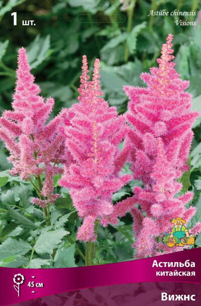 ����  ���������� �������� ����� ��������� �������� ��������� �����, 1 ��., ������ �� 395 ���