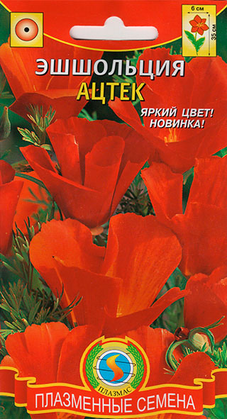 ����  ������ ������� ��������� �����, 0,2 �, ������ �� 37 ���