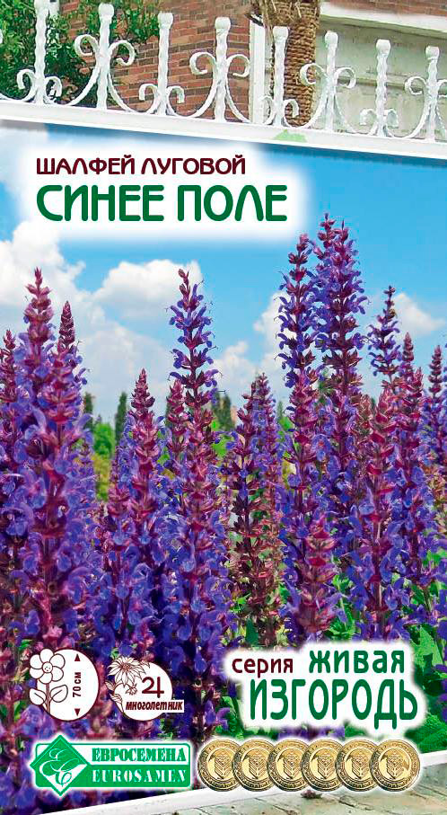 ����  ������ ���������� ������ ������� ����� ����, 0,1 � ����� ��������, ������ �� 57 ���