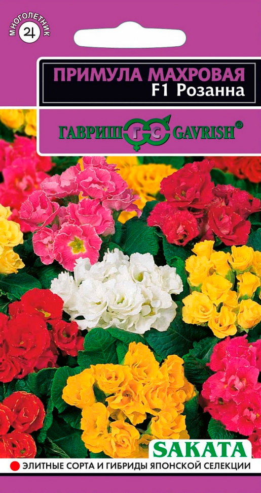 ����  ������ ������ ������� �������� �������, ����� F1, 4 ��. ������� ������ Sakata, ������ �� 159 ���