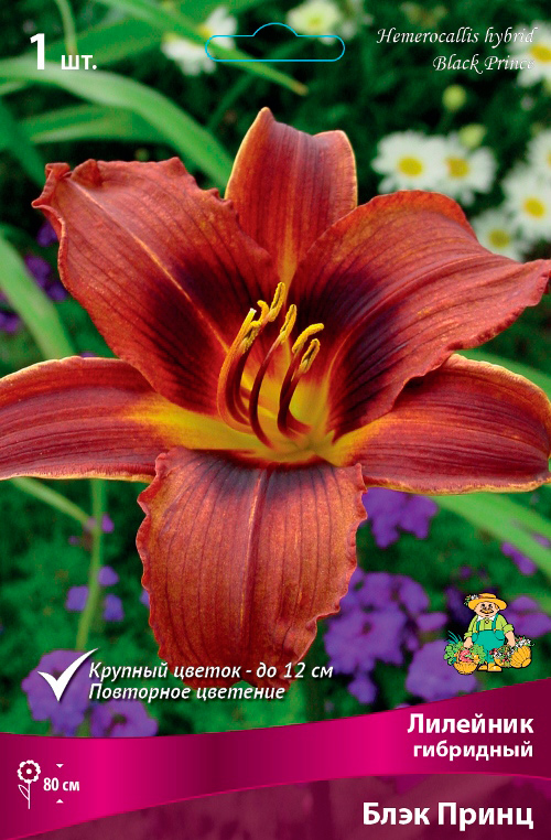 ����  ���������� �������� ����� ��������� �������� ��������� ���� �����, 1 ��., ������ �� 445 ���