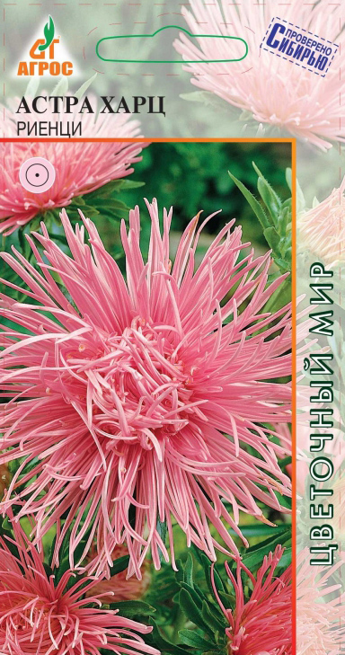 ����  ������ ����� ����� ���� ������, 0,3 � ��������� �������, ������ �� 48 ���