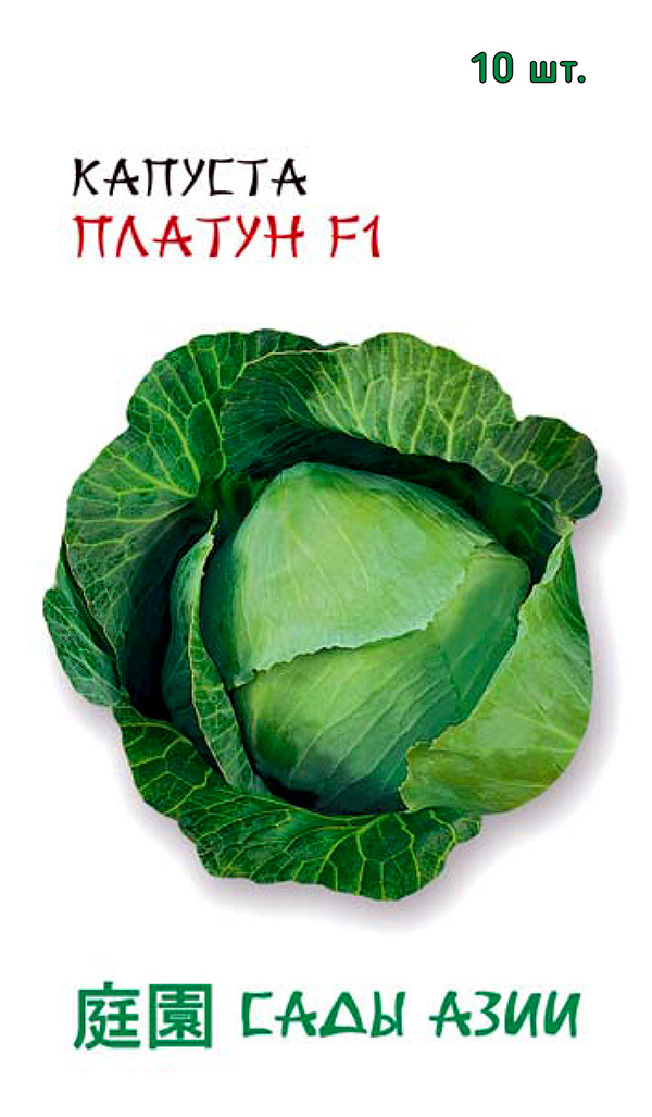 ����  ������ ���� ���� ������� ������������ ������ F1, 10 ��. Nong-Woo-Bio, ������ �� 65 ���