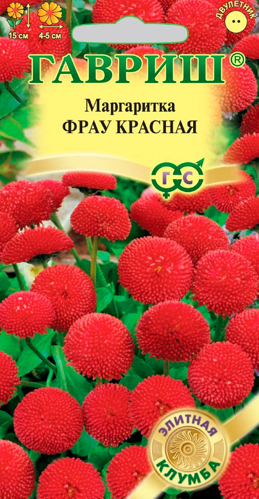 ����  ������ ������ ���������� ���� �������, 5 ��. ������� ������, ������ �� 65 ���