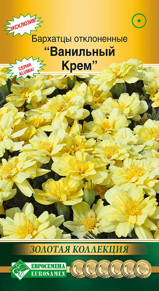 ����  ������ ���������� �������� ����������� ��������� ����, 10 ��. ������� ���������, ������ �� 95 ���