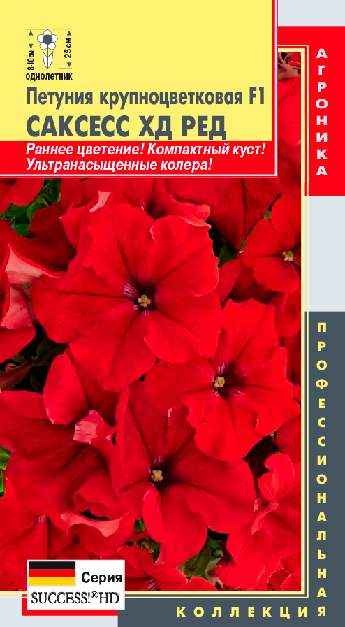 ����  ������ ������� ������� ��������������� ������� �� ��� F1, 10 ����� ���������������� ���������, ������ �� 95 ���