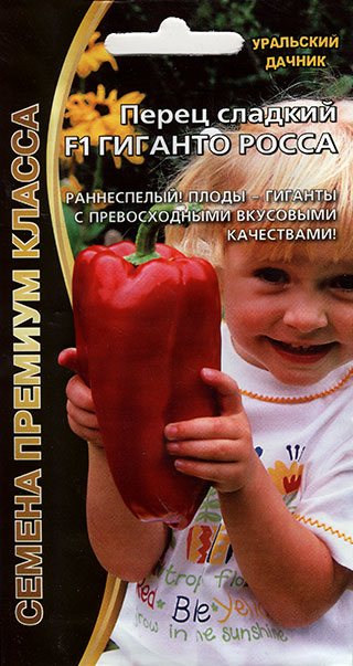 ����  ������ ��������� ������ ����� ������� ������� ����� F1, 20 ��. ������ ������� ������, ������ �� 95 ���