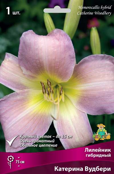 ����  ���������� �������� ����� ��������� �������� ��������� �������� �������, 1 ��. NEW, ������ �� 349 ���