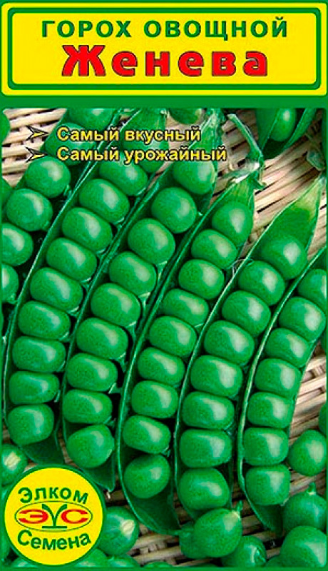 ����  ������ ����� ������ ����� ������, 5 �, ������ �� 45 ���