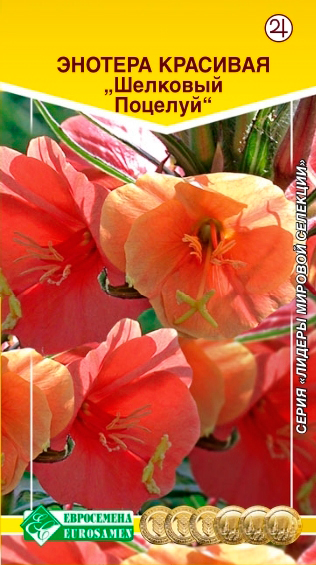 ����  ������ ���������� ������� �������� �������, 0,1 � ������ ������� ��������, ������ �� 59 ���