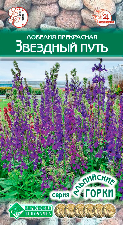 ����  ������ ���������� ������� ���������� �������� ����, 3 ��. ���������� �����, ������ �� 98 ���