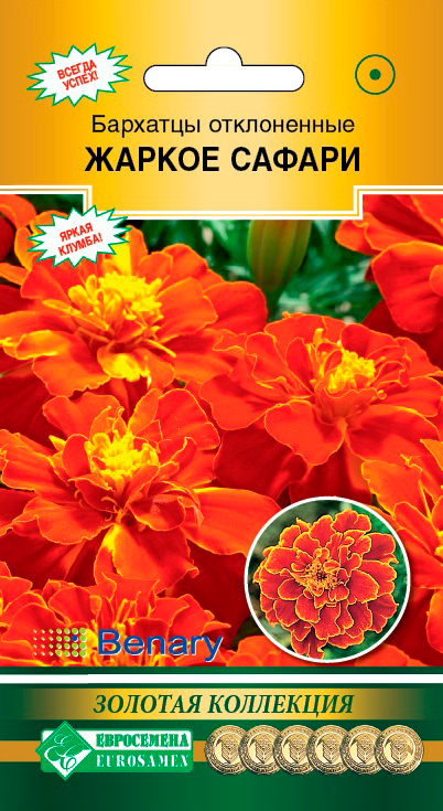 ����  ������ ���������� �������� ����������� ������ ������, 10 ��. Benary ������� ���������, ������ �� 65 ���