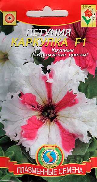 ����  ������ ������� ������� ��������������� �������� F1, 10 �����, ������ �� 75 ���