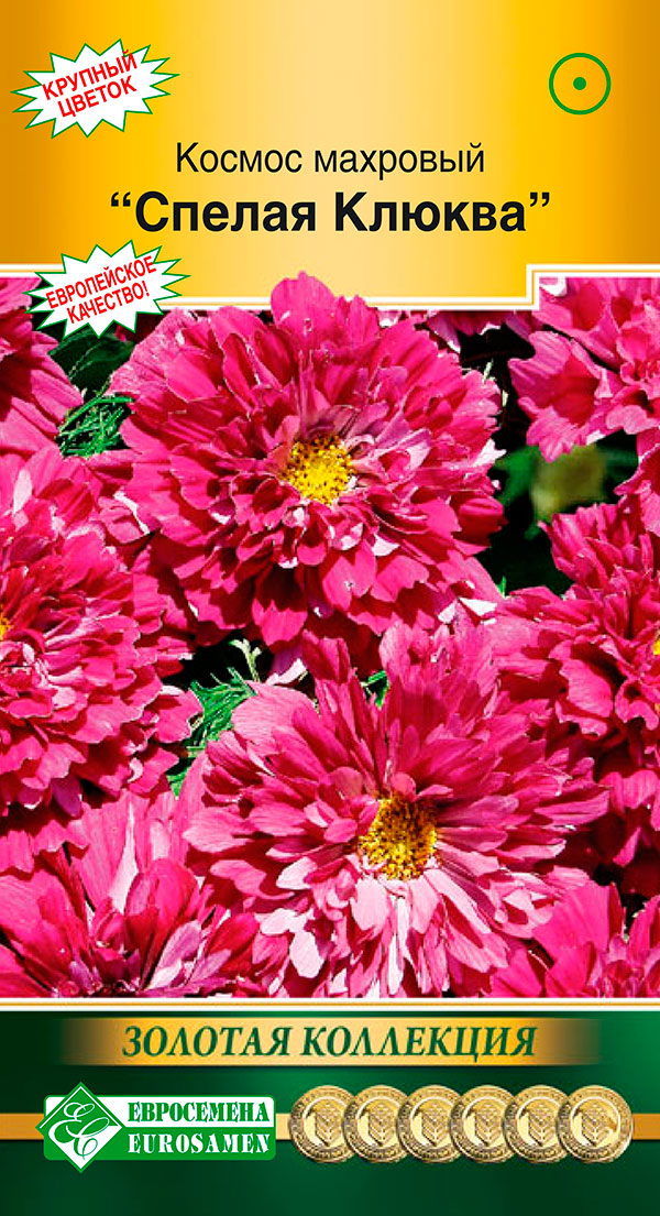 ����  ������ ���������� ������ �������� ������ ������, 0,05 � ������� ���������, ������ �� 75 ���