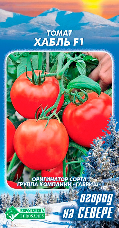 ����  ������ ���������� ����� ����� F1, 10 ��. ������ �� ������, ������ �� 89 ���