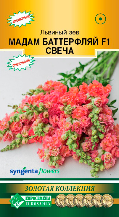 ����  ������ ���������� ������� ��� ����� ���������� ����� F1, 10 ��. ������� ���������, ������ �� 95 ���