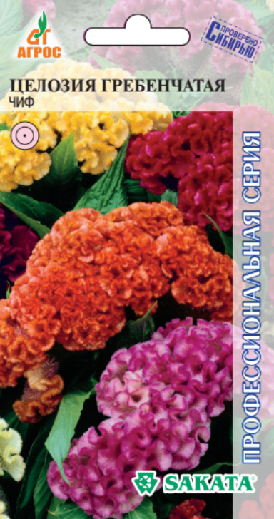 ����  ������ ����� ������� ���, �����, 10 ��. Sakata ���������������� �����, ������ �� 65 ���