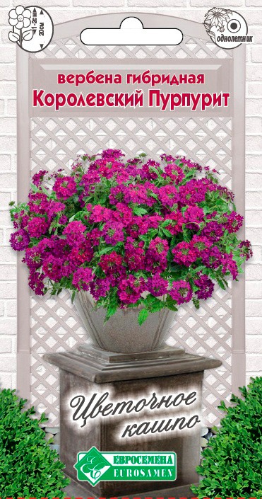 ����  ������ ���������� ������� ��������� ����������� ��������, 0,1 � ��������� �����, ������ �� 65 ���