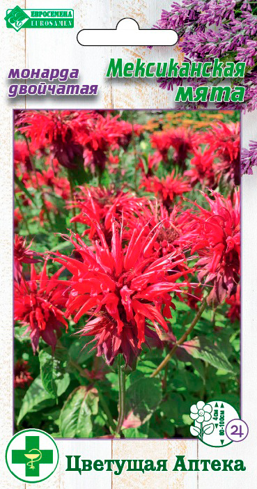 ����  ������ ���������� ������� ��������� ������������ ����, 10 ��. �������� ������, ������ �� 86 ���