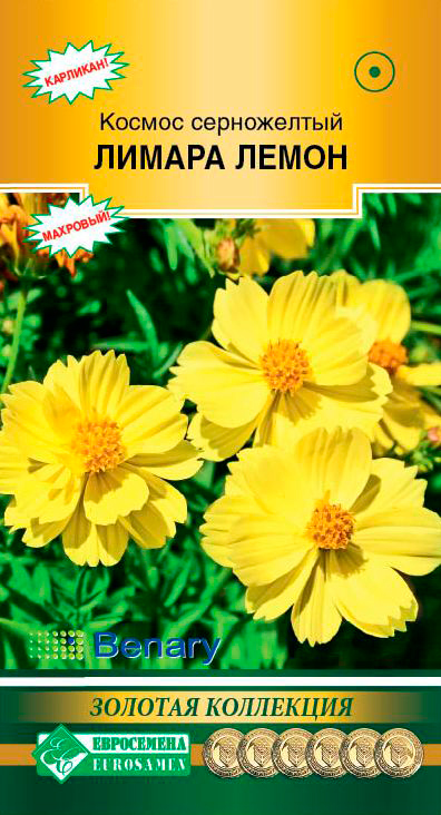 ����  ������ ���������� ������ ����������� ������ �����, 10 ��. Benary ������� ���������, ������ �� 68 ���