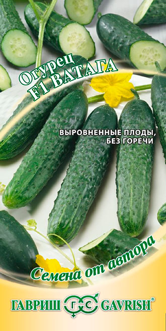 ����  ������ ������ ������ ������ F1, 10 ��. ������ �� ������, ������ �� 48 ���