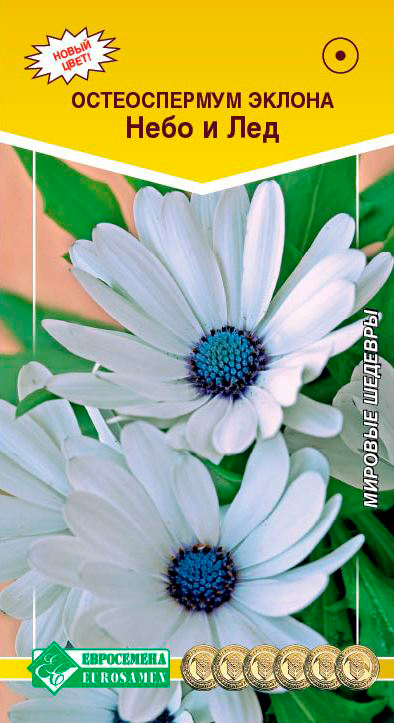 ����  ������ ���������� ������������ ������ ���� � ���, 0,1 � ������� �������, ������ �� 59 ���