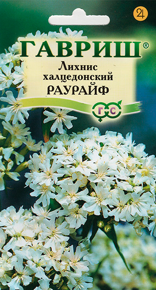 ����  ������ ������ ������ ������������ �������, 0,1 �, ������ �� 35 ���