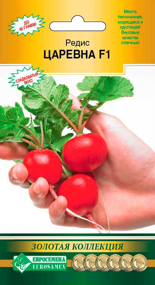 ����  ������ ���������� ����� ������� F1, 0,5 � ������� ���������, ������ �� 86 ���