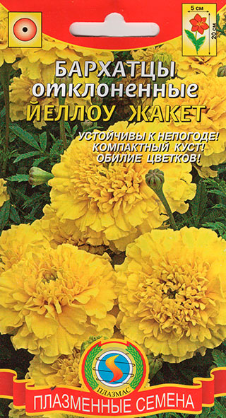 ����  ������ ������� �������� ����������� ������ �����, 45 ��., ������ �� 41 ���